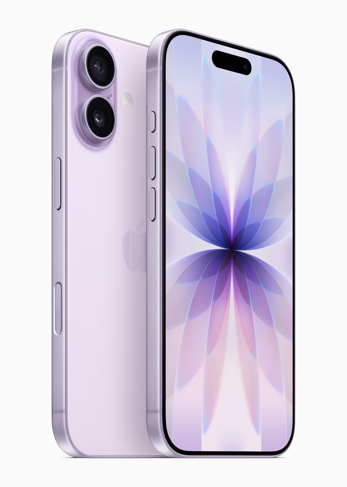 The back and the front of a lavender iPhone 17; the back has two camera lenses, one above the other.