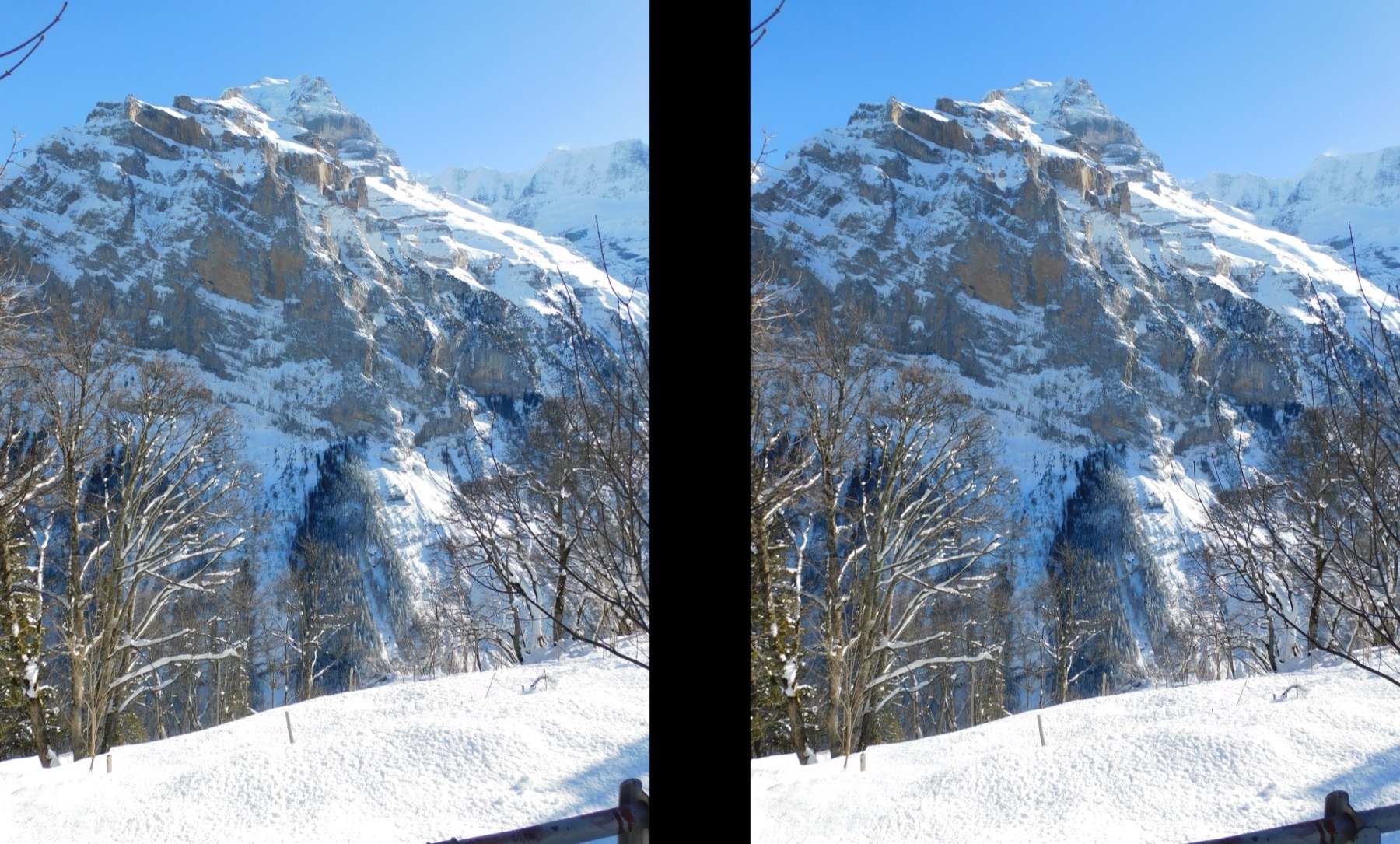 Two nearly identical photos side by side of a snowy mountain behind bare winter trees, taken a short step apart.