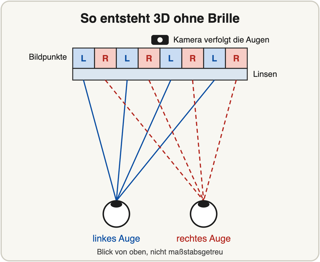 Schema in der Draufsicht: Bildpunkte, abwechselnd mit L und R beschriftet, darunter eine Linsenschicht; blaue Linien führen zum linken Auge, rote gestrichelte zum rechten; eine Kamera verfolgt die Augen.