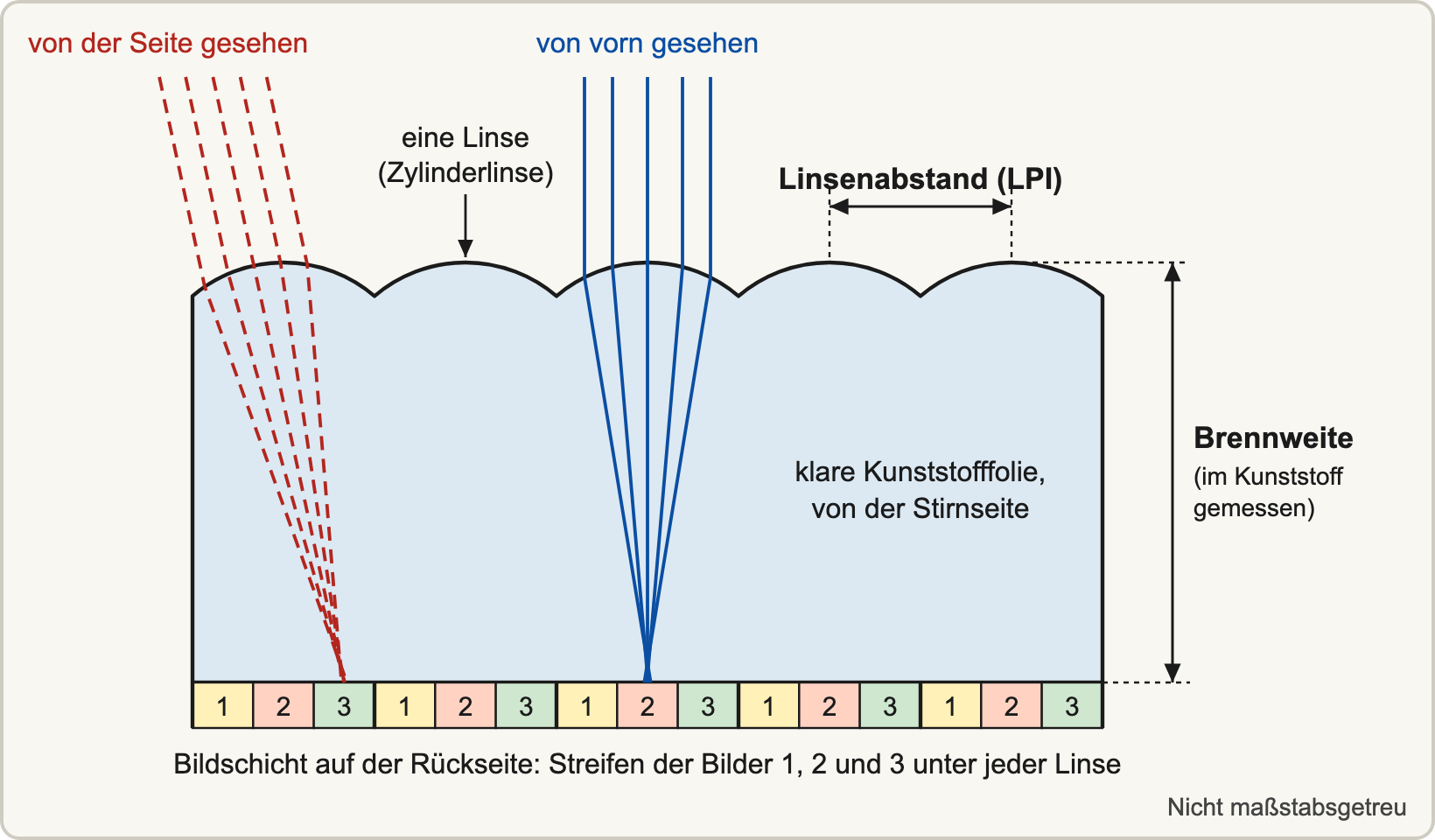 Schema: Querschnitt durch eine Lentikularfolie. Oben runde Linsen, unten Streifen der Bilder 1, 2 und 3. Blaue Linien von vorn treffen Streifen 2, rote Linien von der Seite treffen Streifen 3.