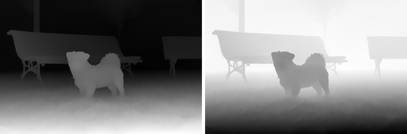 The same depth map shown twice: on the left the grass in front is white and the background black; on the right the shades are reversed, with the grass black and the background white.