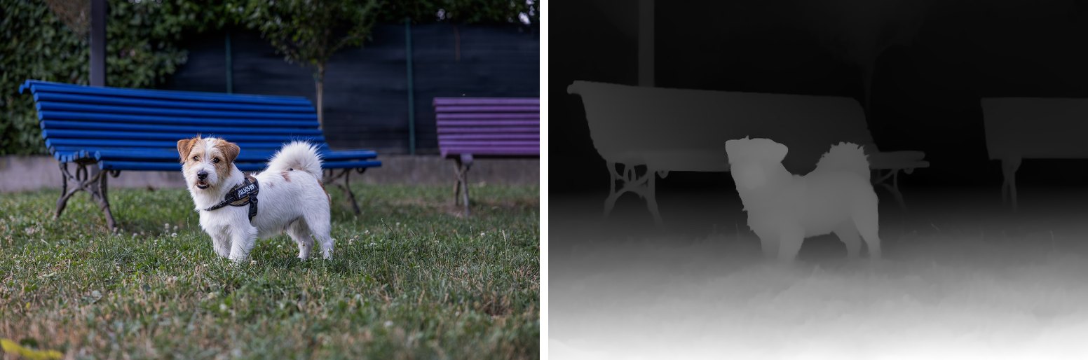 Left: a small white and tan terrier standing on grass in front of a blue park bench and a purple one. Right: the depth map of the same photo, with the grass at the bottom white, the dog and the benches mid-grey, and the fence and hedge behind them black.