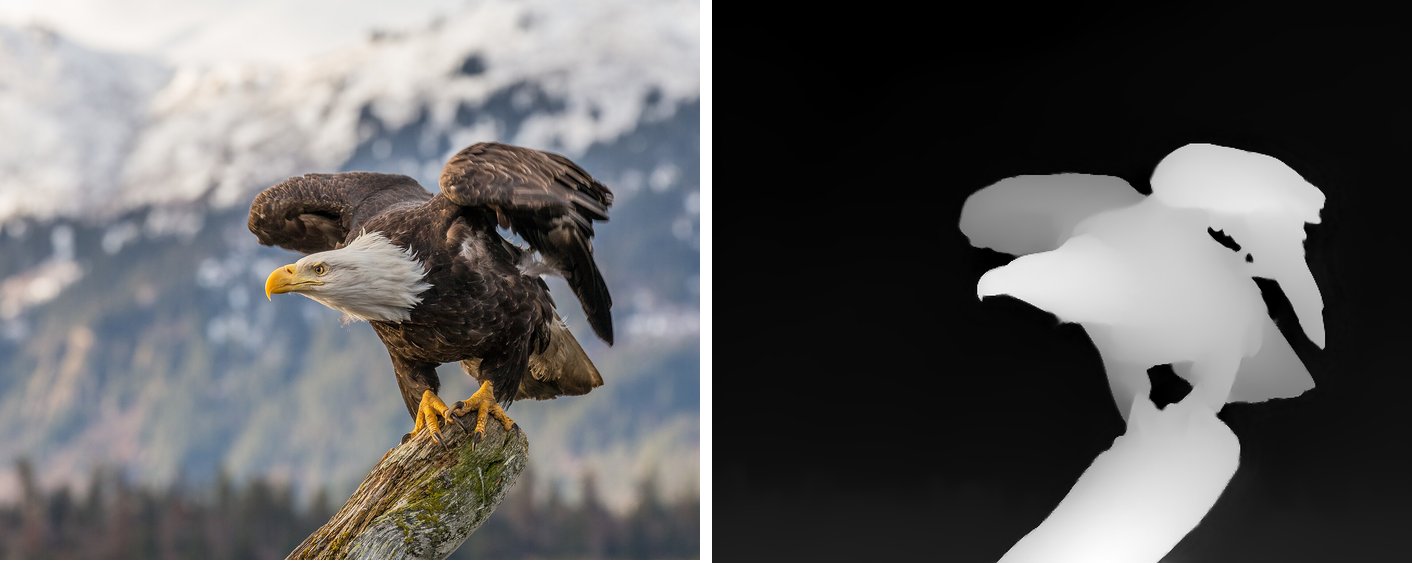 The eagle photo on the left; on the right its depth map, the eagle and branch in light grey, the mountains behind almost black.