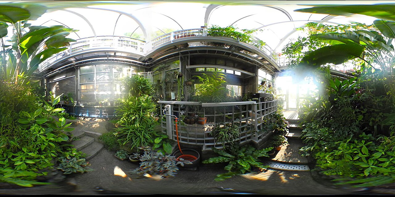 植物園の温室を360度撮影した写真。左右と上下が大きく引き伸ばされて、横長の1枚になっている。