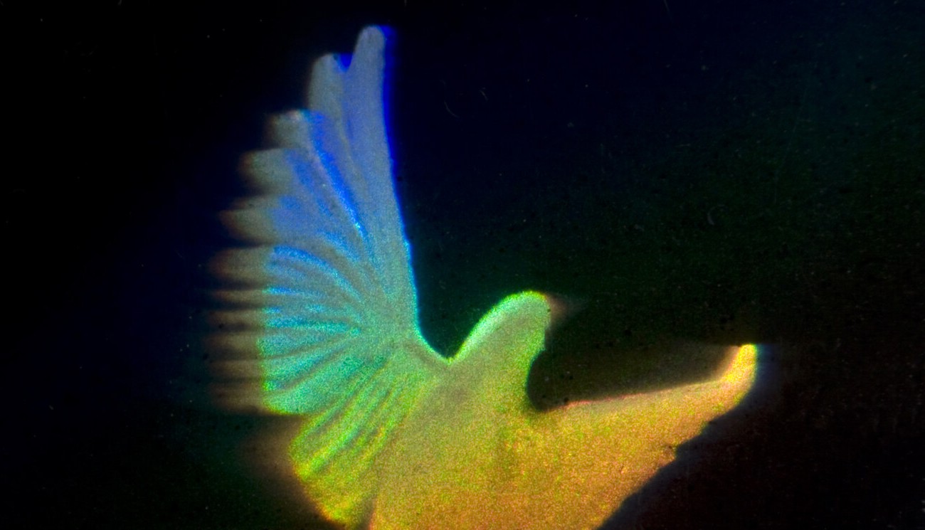 Close-up of the dove hologram from a Visa credit card, shining in blue, green and yellow against the dark foil.