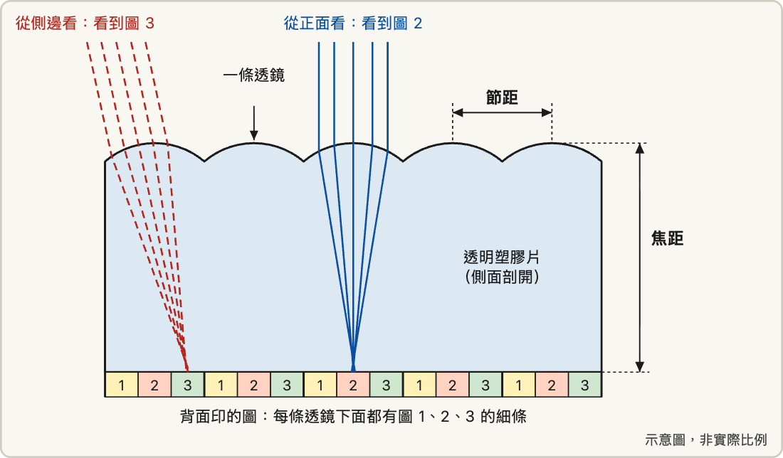 光柵片的剖面示意圖。上面是一排半圓形的透鏡,背面印著圖 1、2、3 交錯的細條。從正面看的光線集中到圖 2 的細條,從側邊看的光線集中到圖 3 的細條。