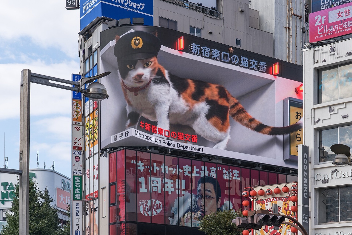 東京新宿東口大樓轉角的曲面 LED 看板上，一隻戴著警帽的三花貓看起來像要從牆面走出來。